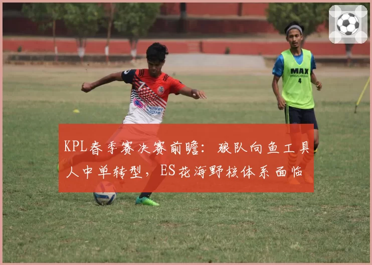 KPL春季赛决赛前瞻:狼队向鱼工具人中单转型,ES花海野核体系面临考验